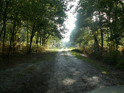 Décès de notre collègue Jean-François Biechler
